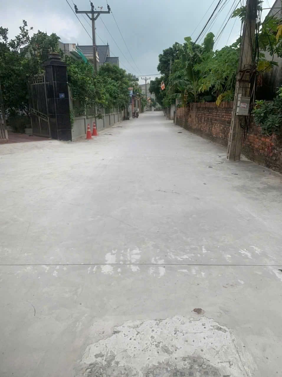 Bán đất