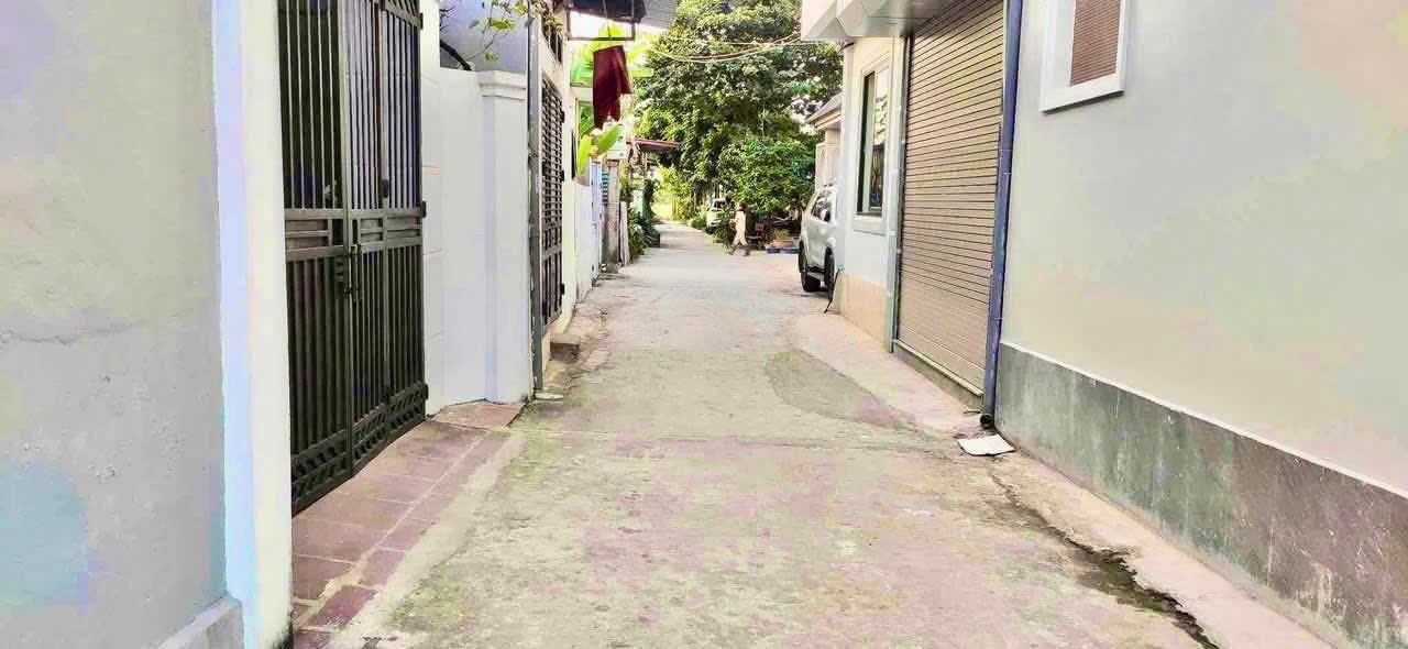 Bán đất