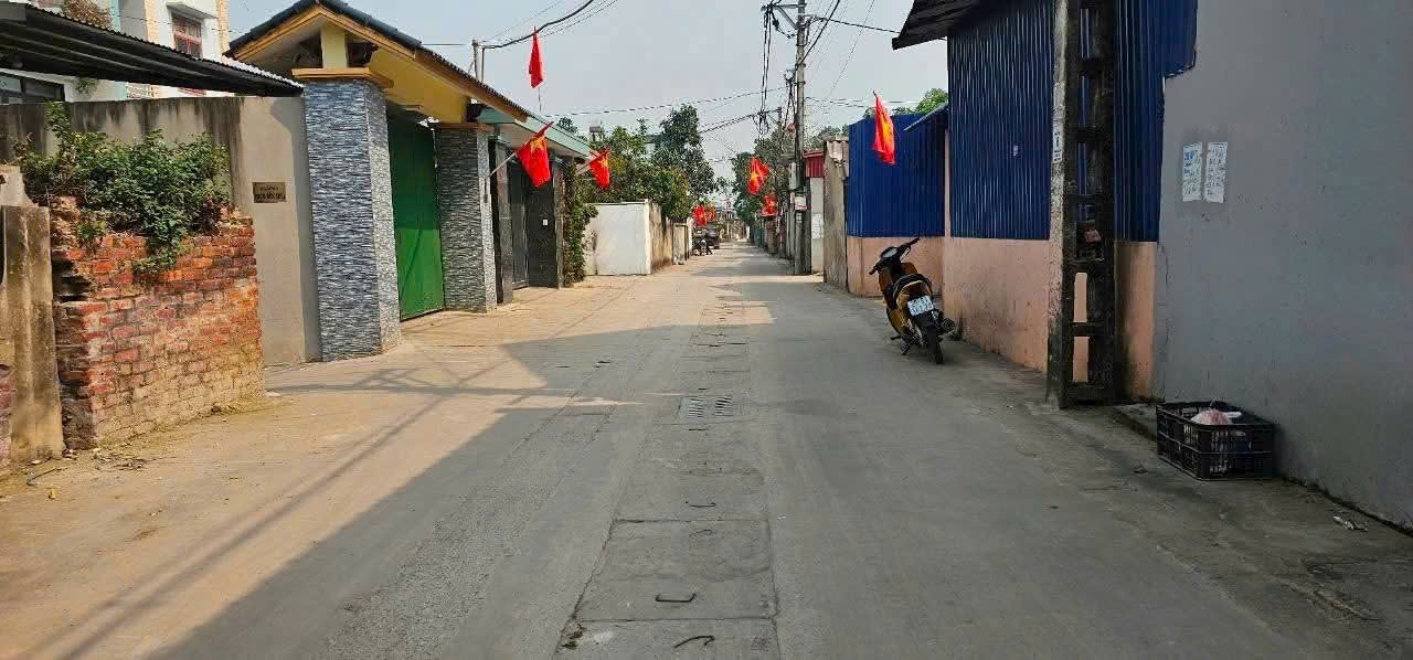 Bán đât