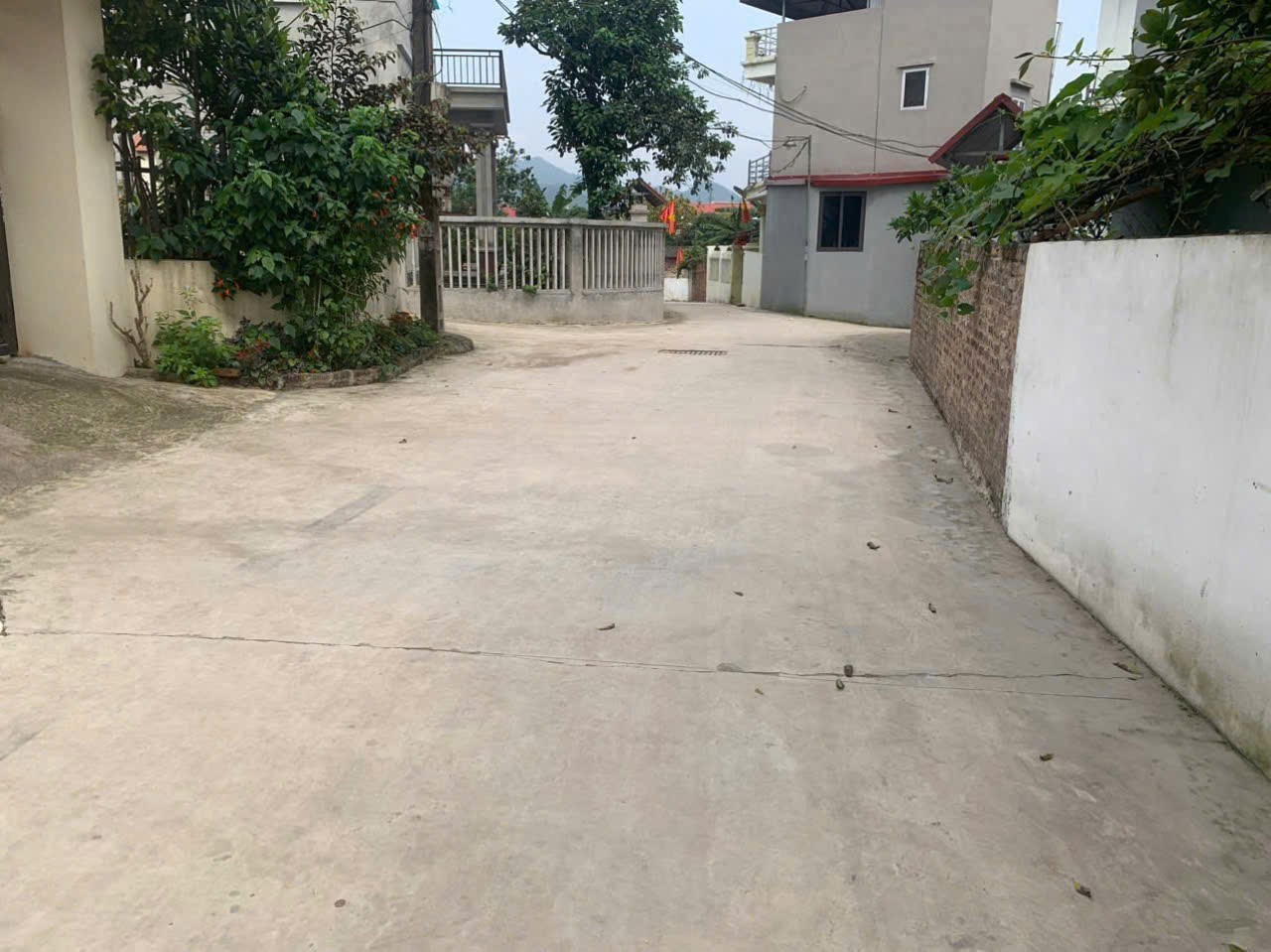 Bán đất
