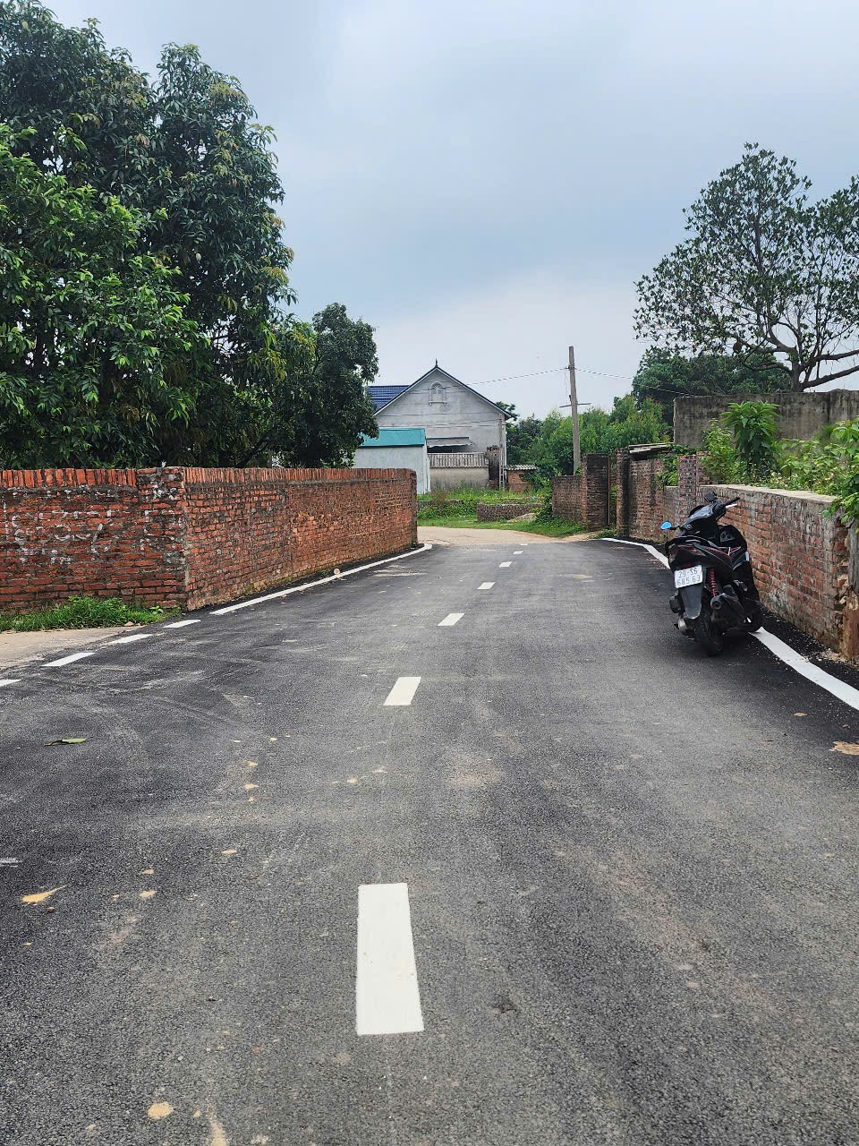 Bán đất