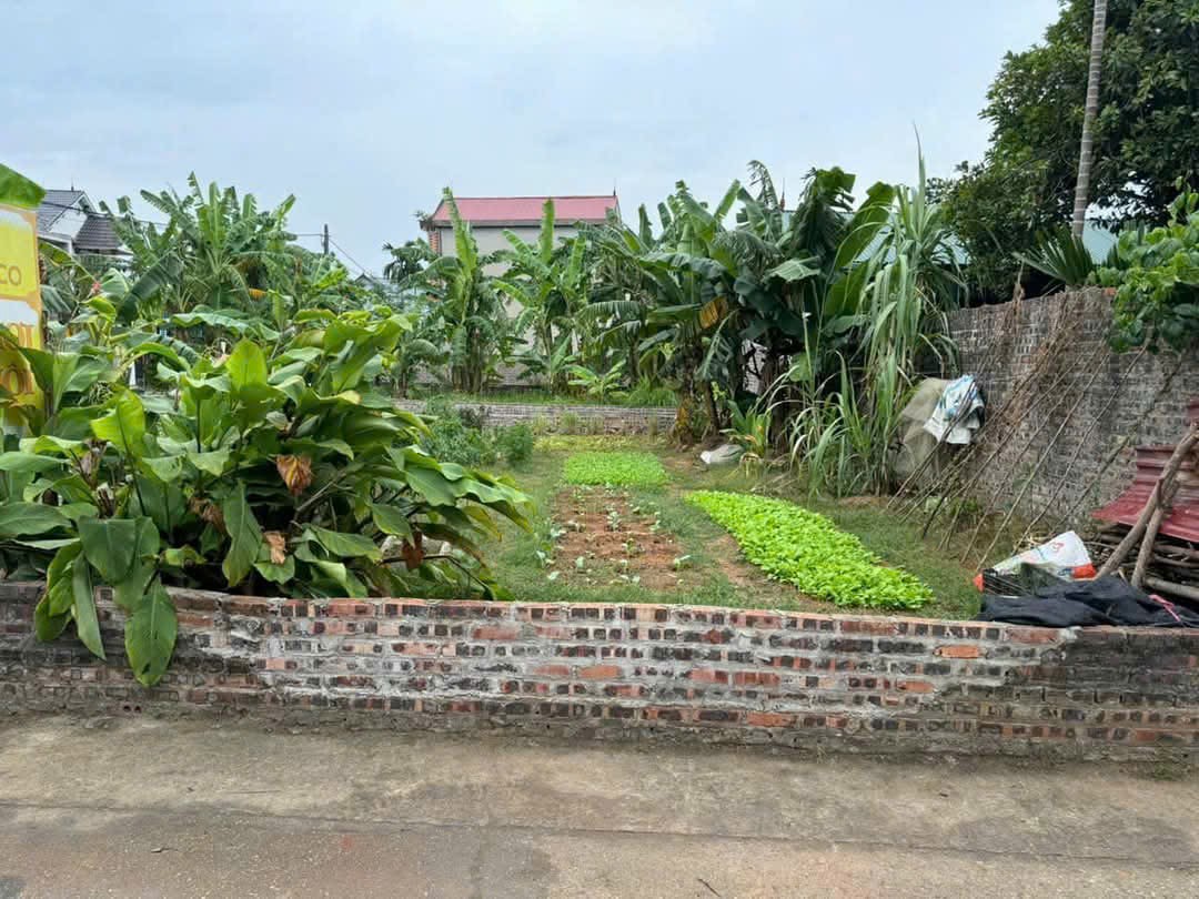 Bán đất
