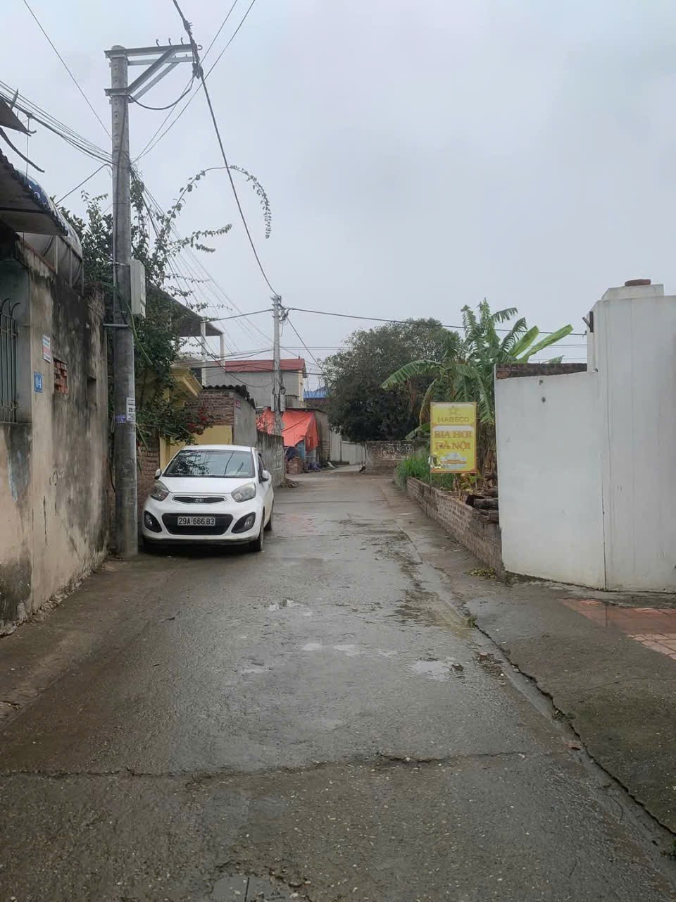 Bán đất