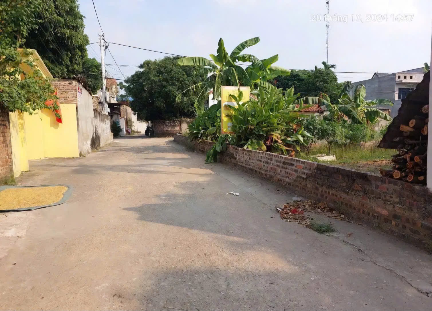 Bán đất
