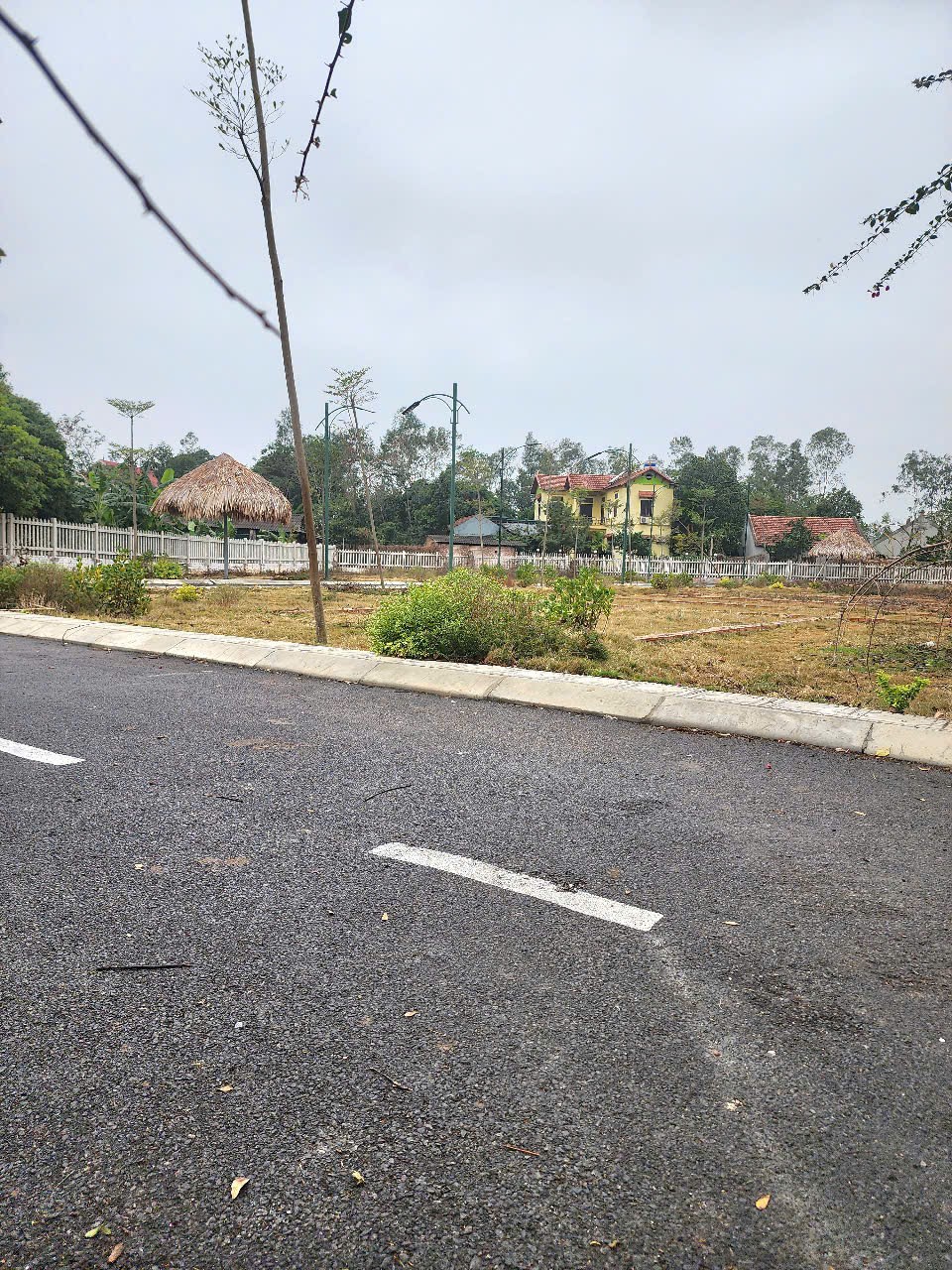 Bán đất