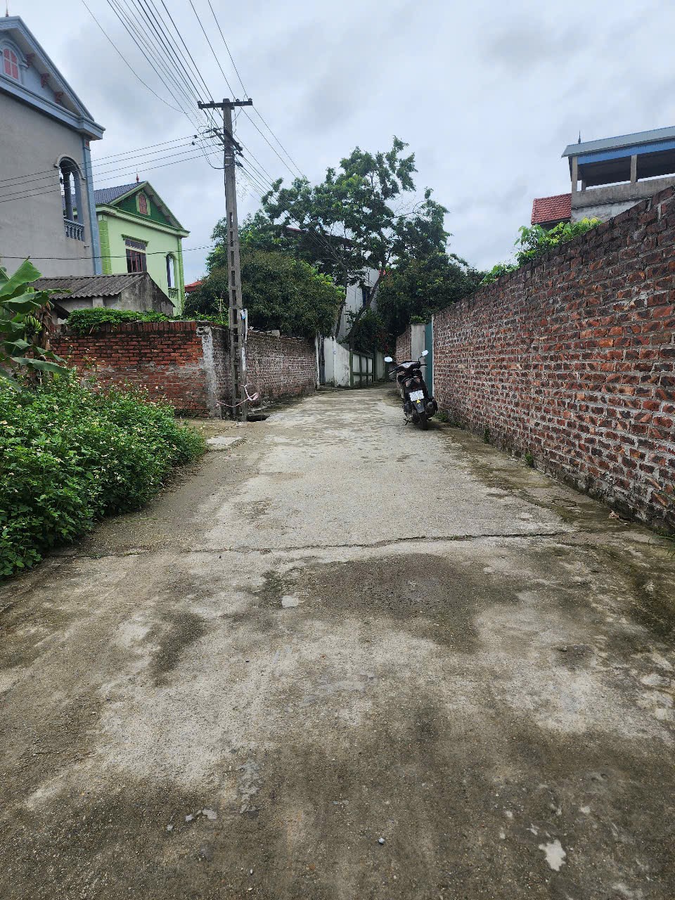 Bán đất
