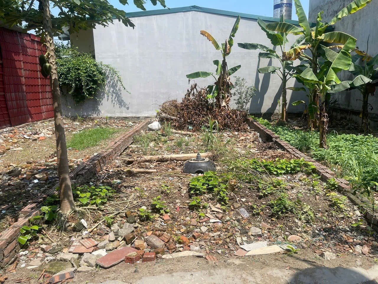 Bán đất