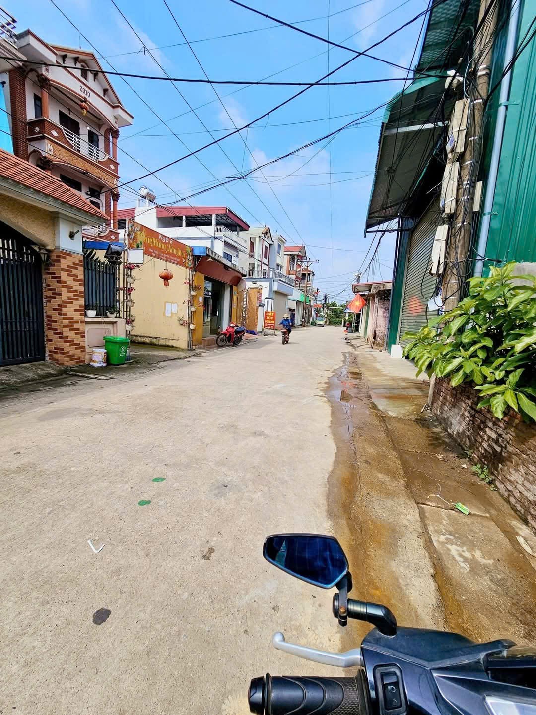 Bán đất