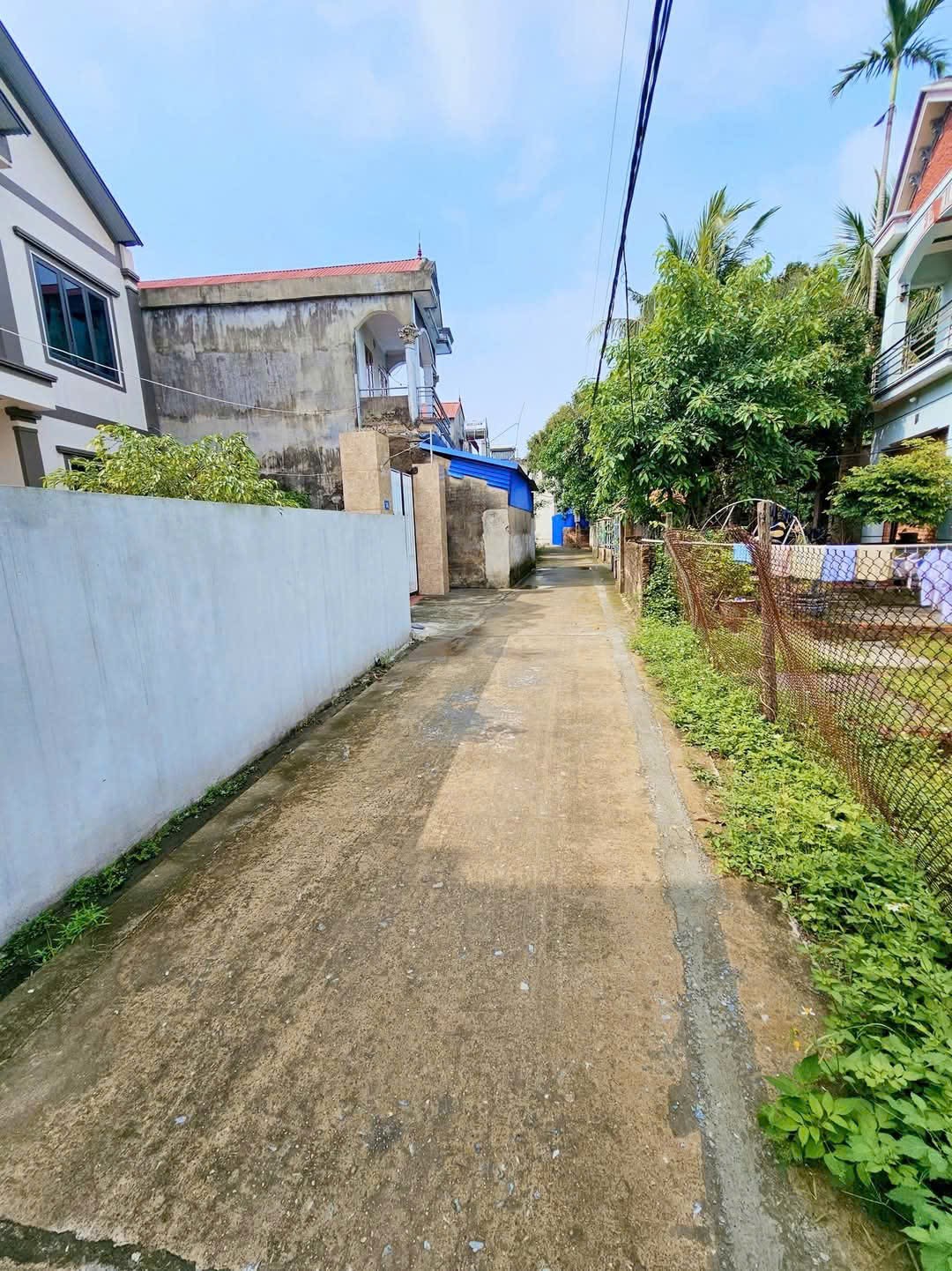 Bán đất