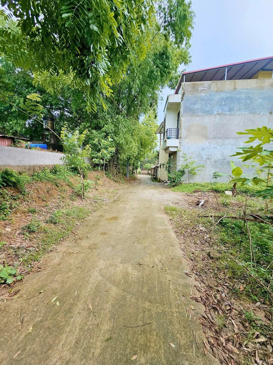 Bán đất