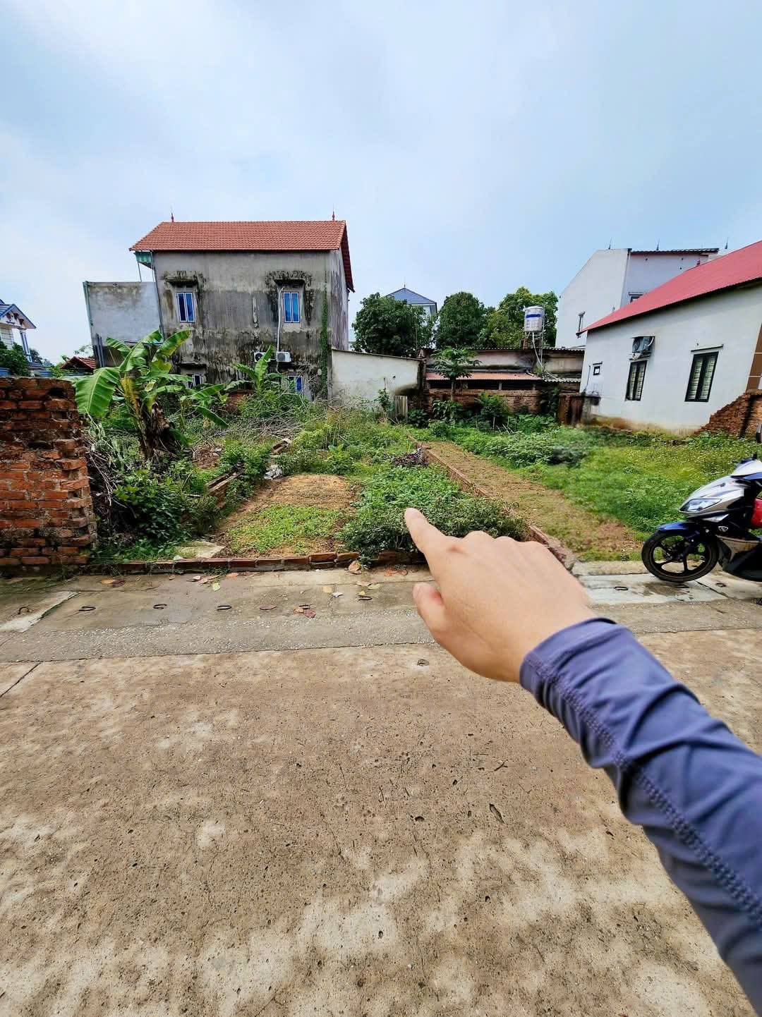 Bán đất