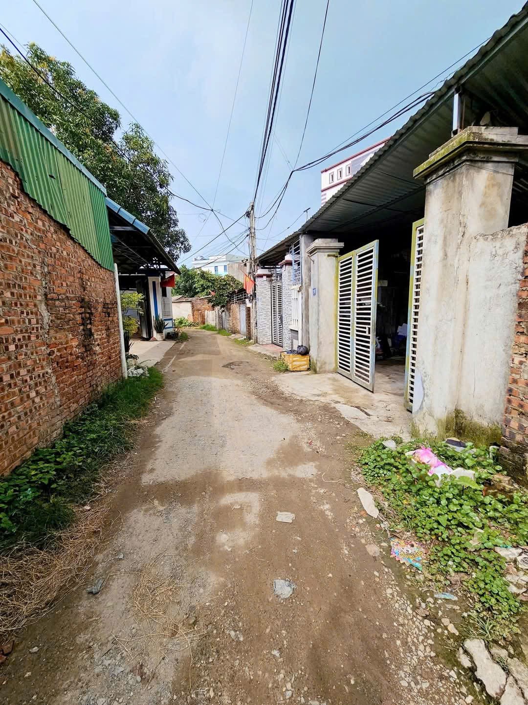 Bán đất
