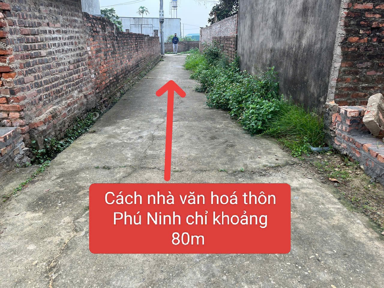 Bán đất