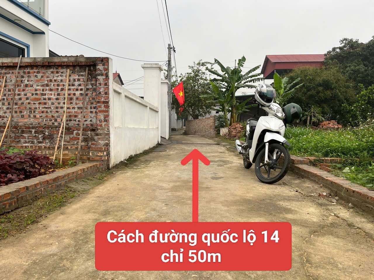 Bán đất