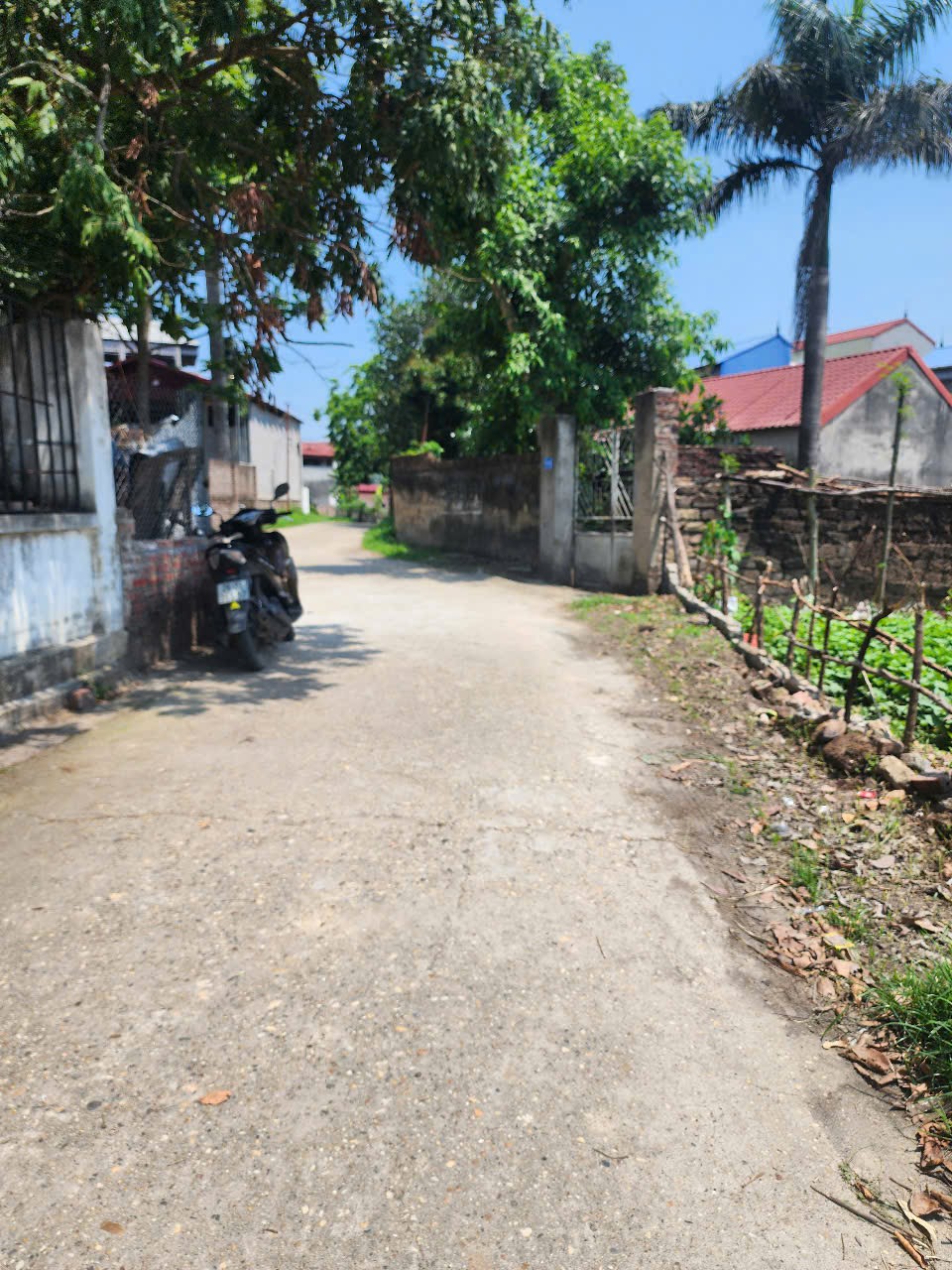 Bán đất