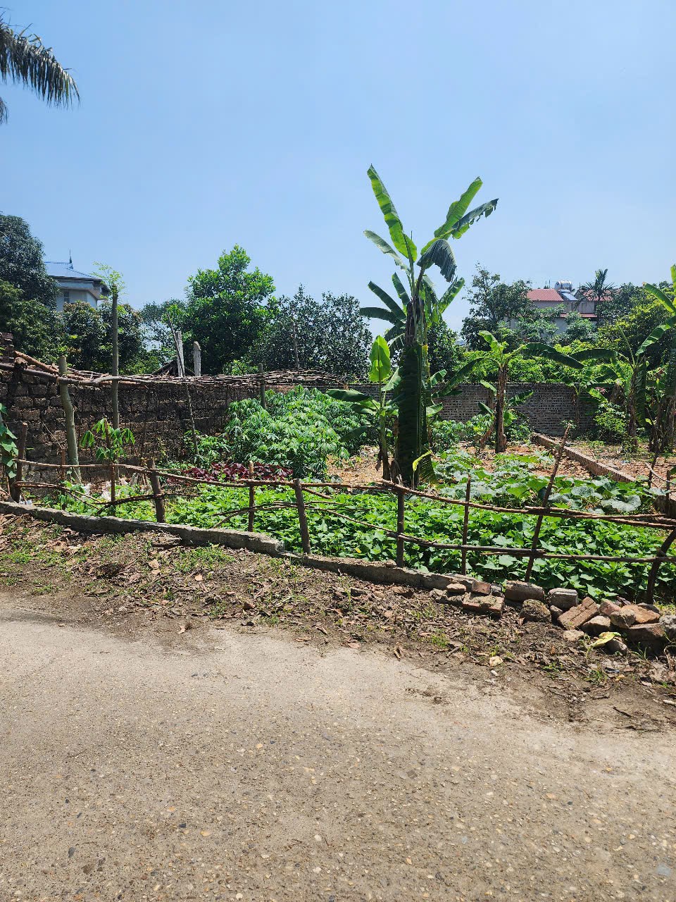 Bán đất