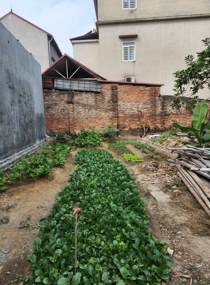 Bán đất