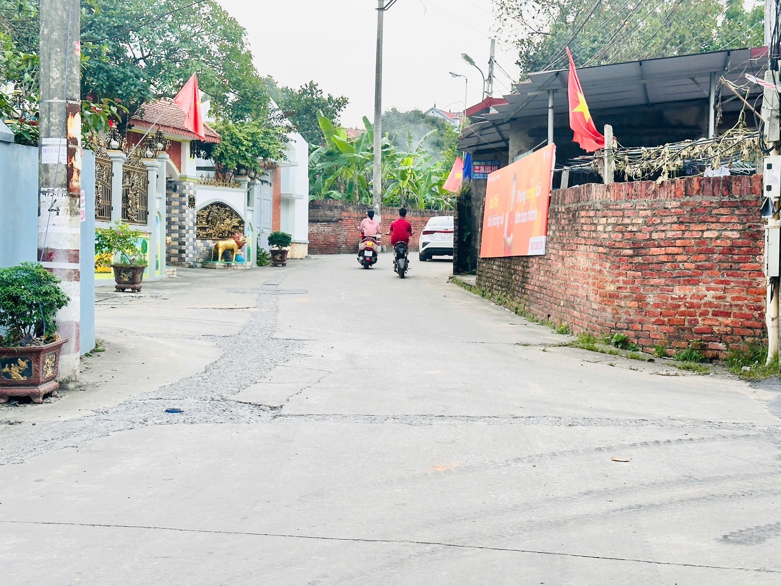 Bán đất