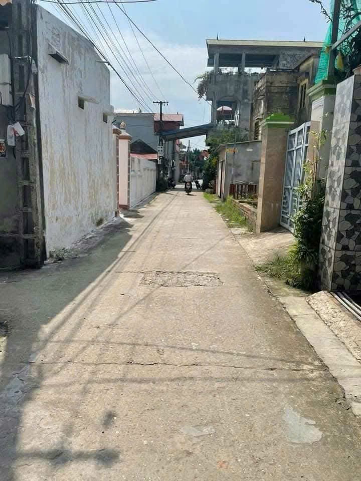 Bán đất