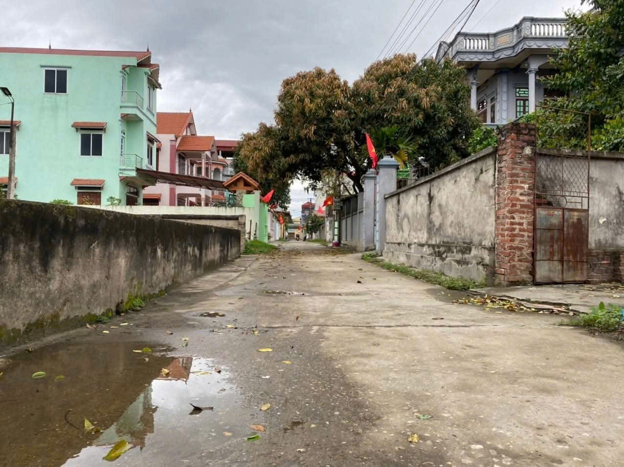 Bán đất