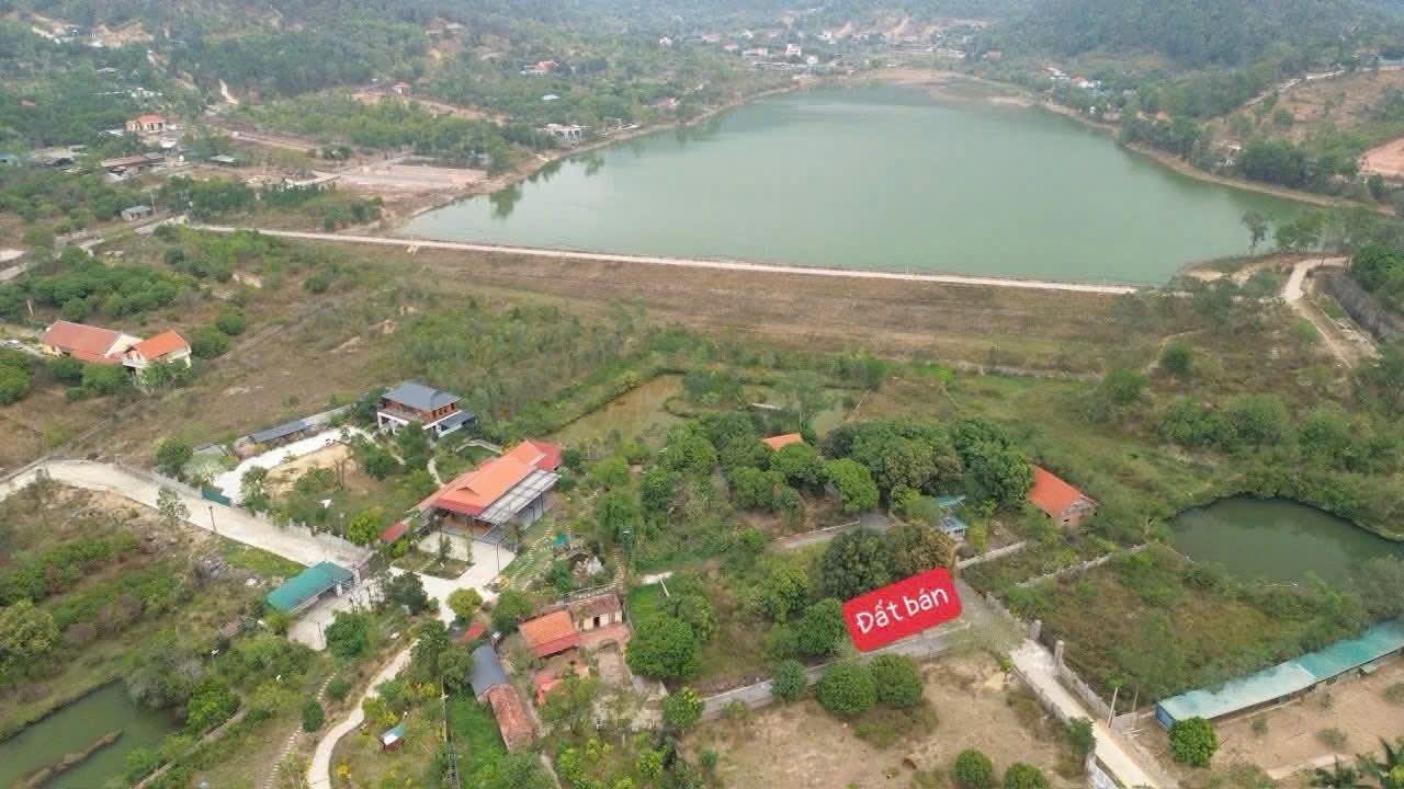 Bán đất