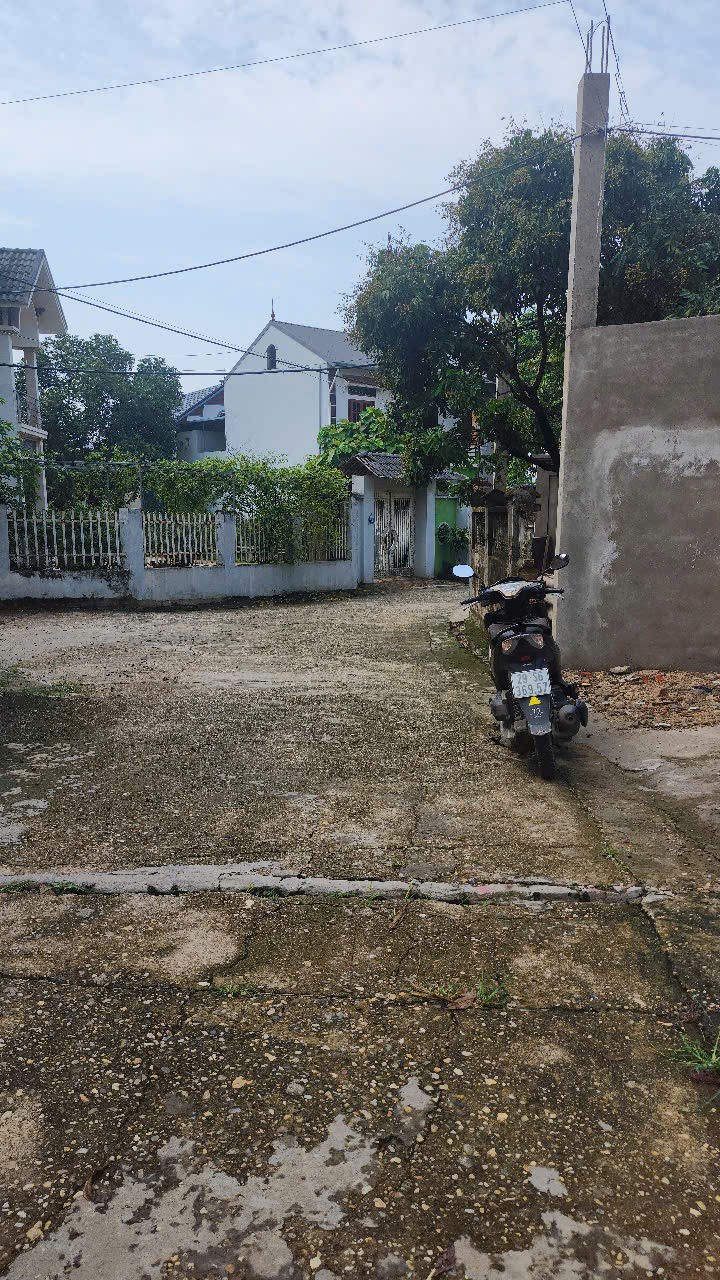 Bán đất