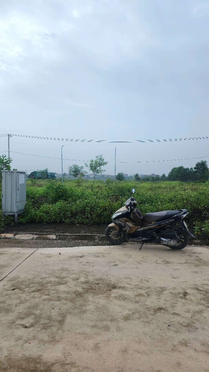 Bán đất