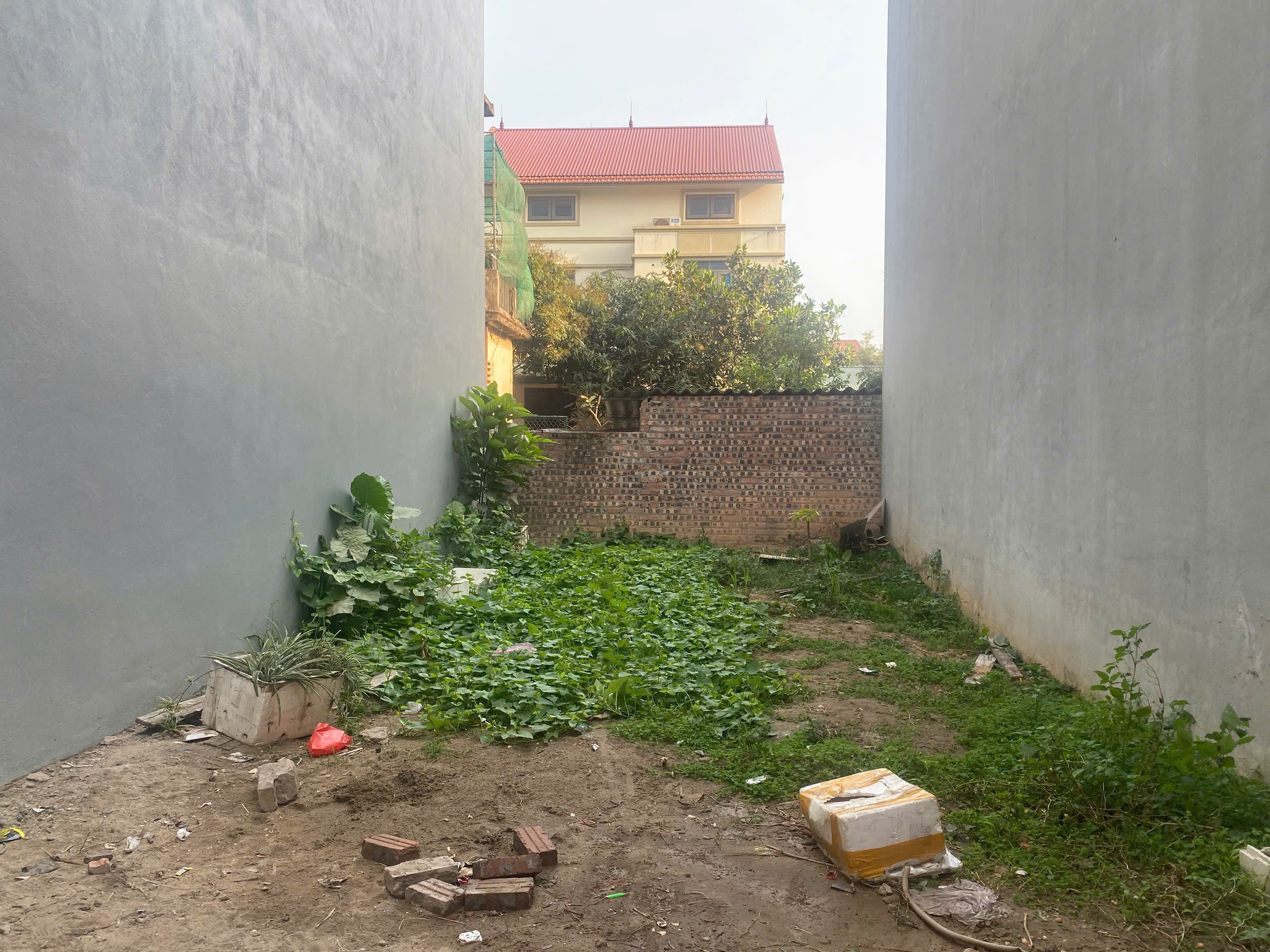 Bán đất