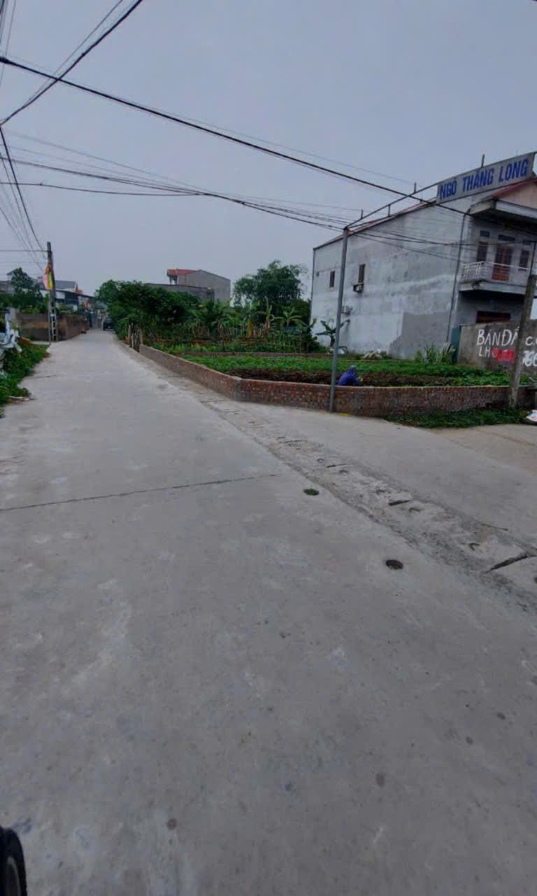 Bán đất