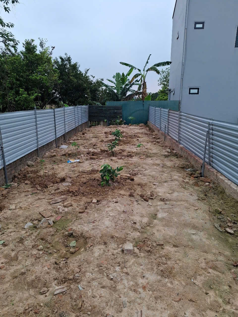 Bán đất