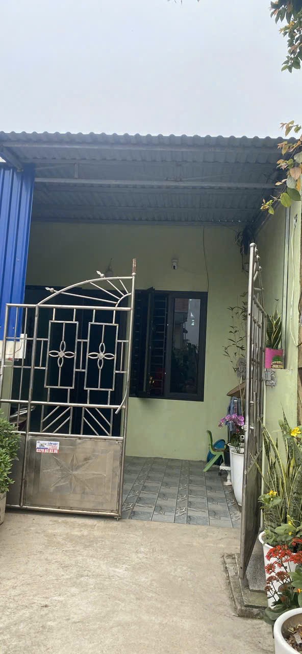 Bán đất