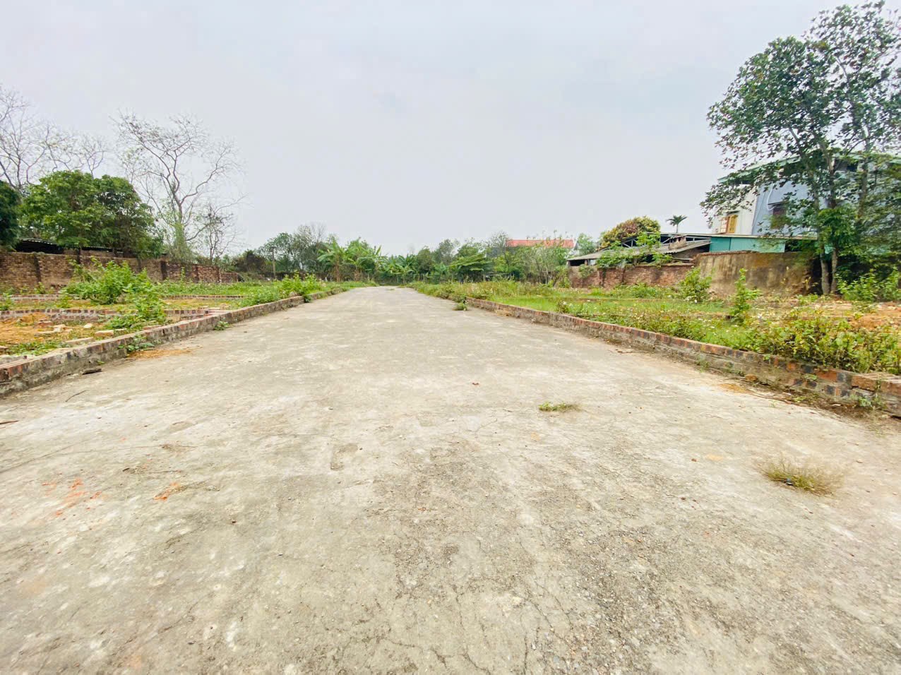 Bán đất