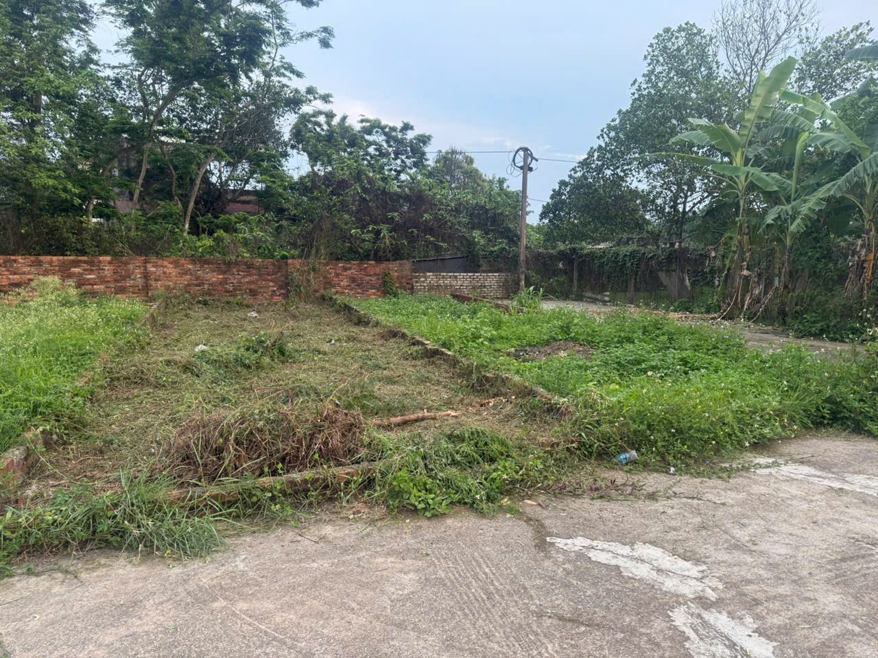 Bán đất