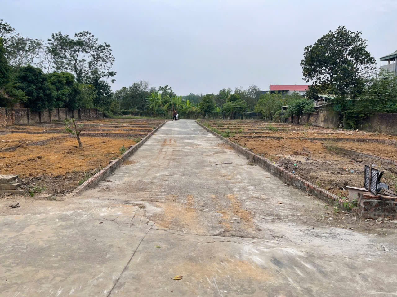 Bán đất
