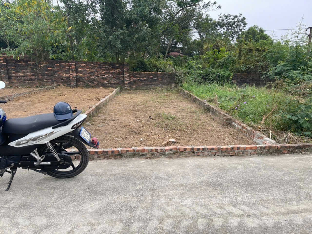 Bán đất