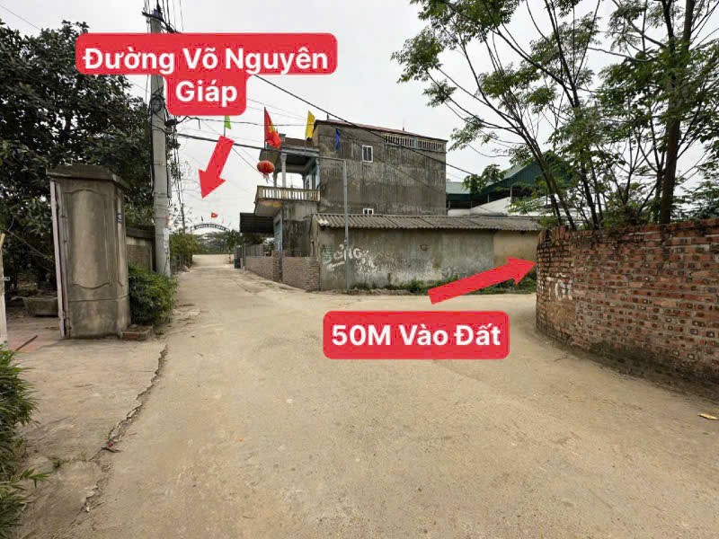 Bán đất