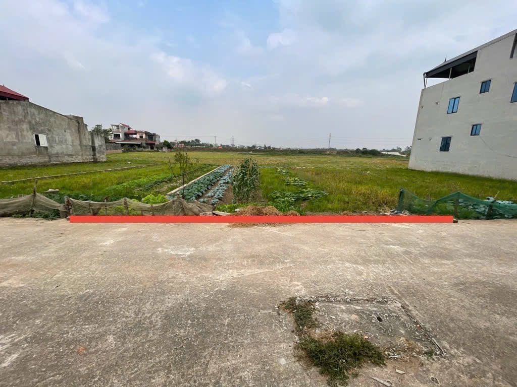 Bán đất