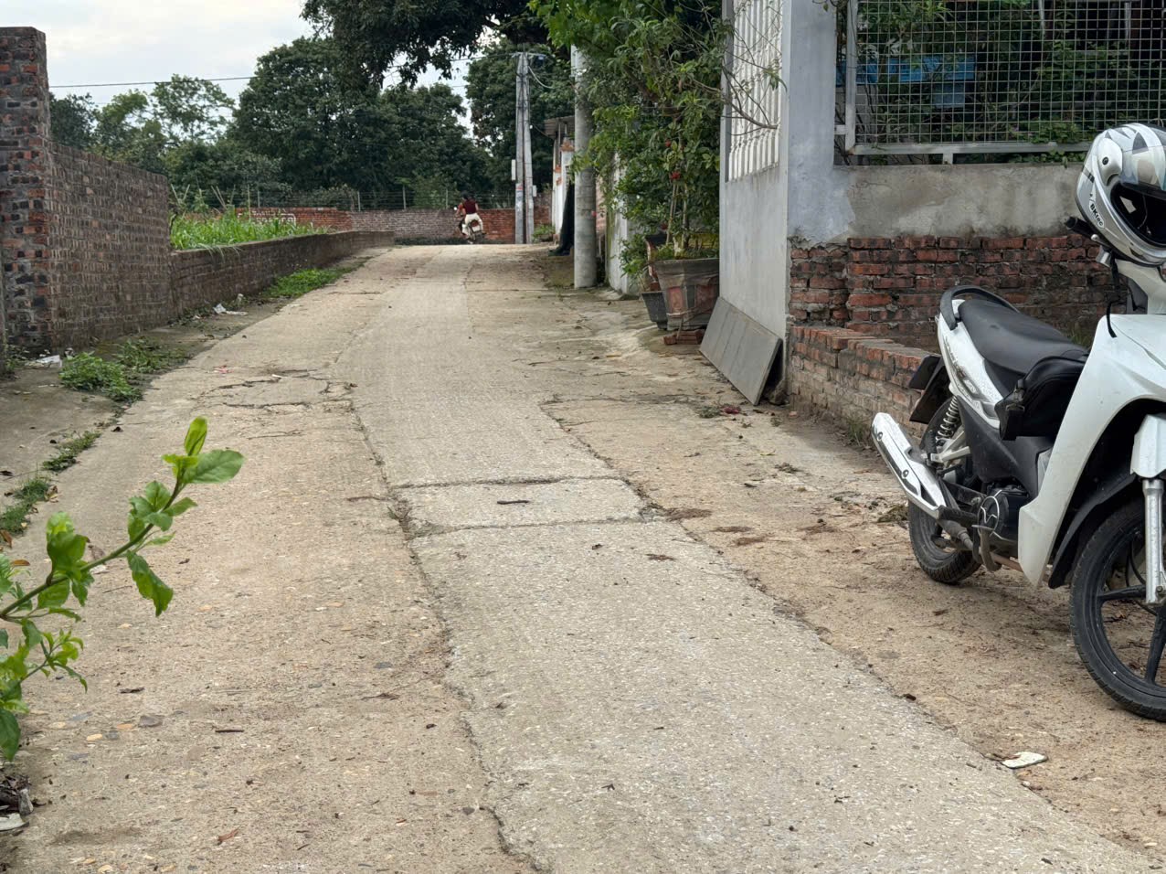 Bán đất