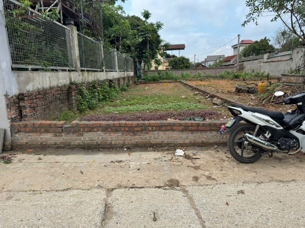Bán đất