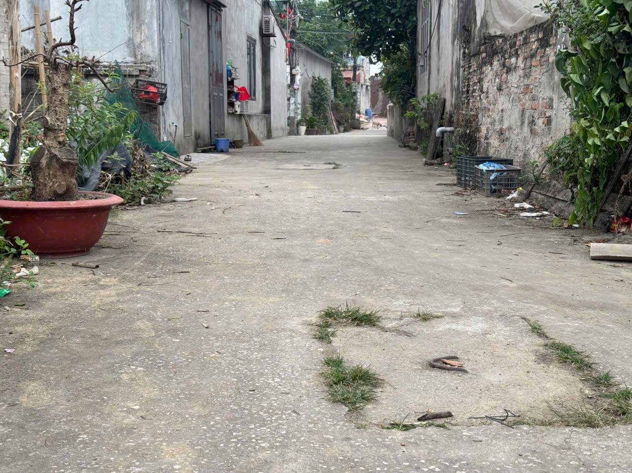 Bán đất
