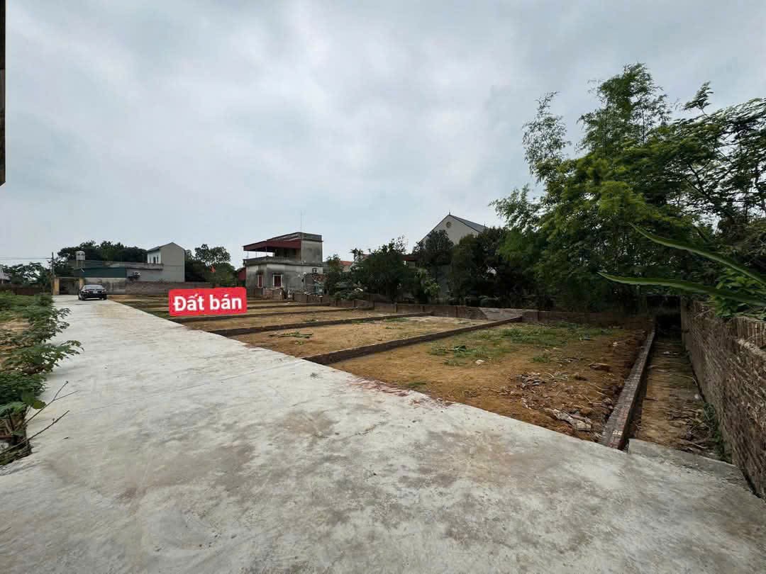 Bán đất
