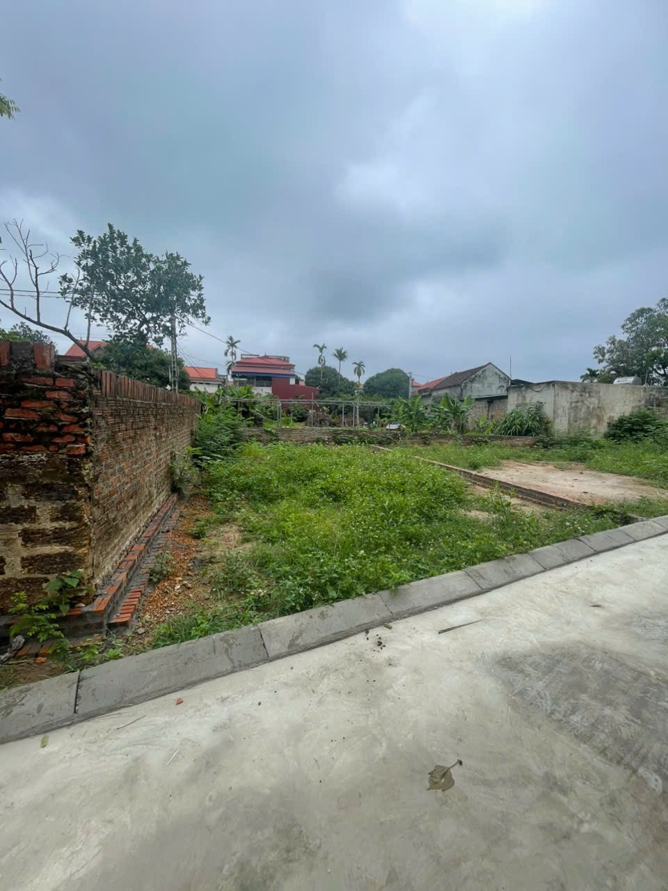 Bán đất