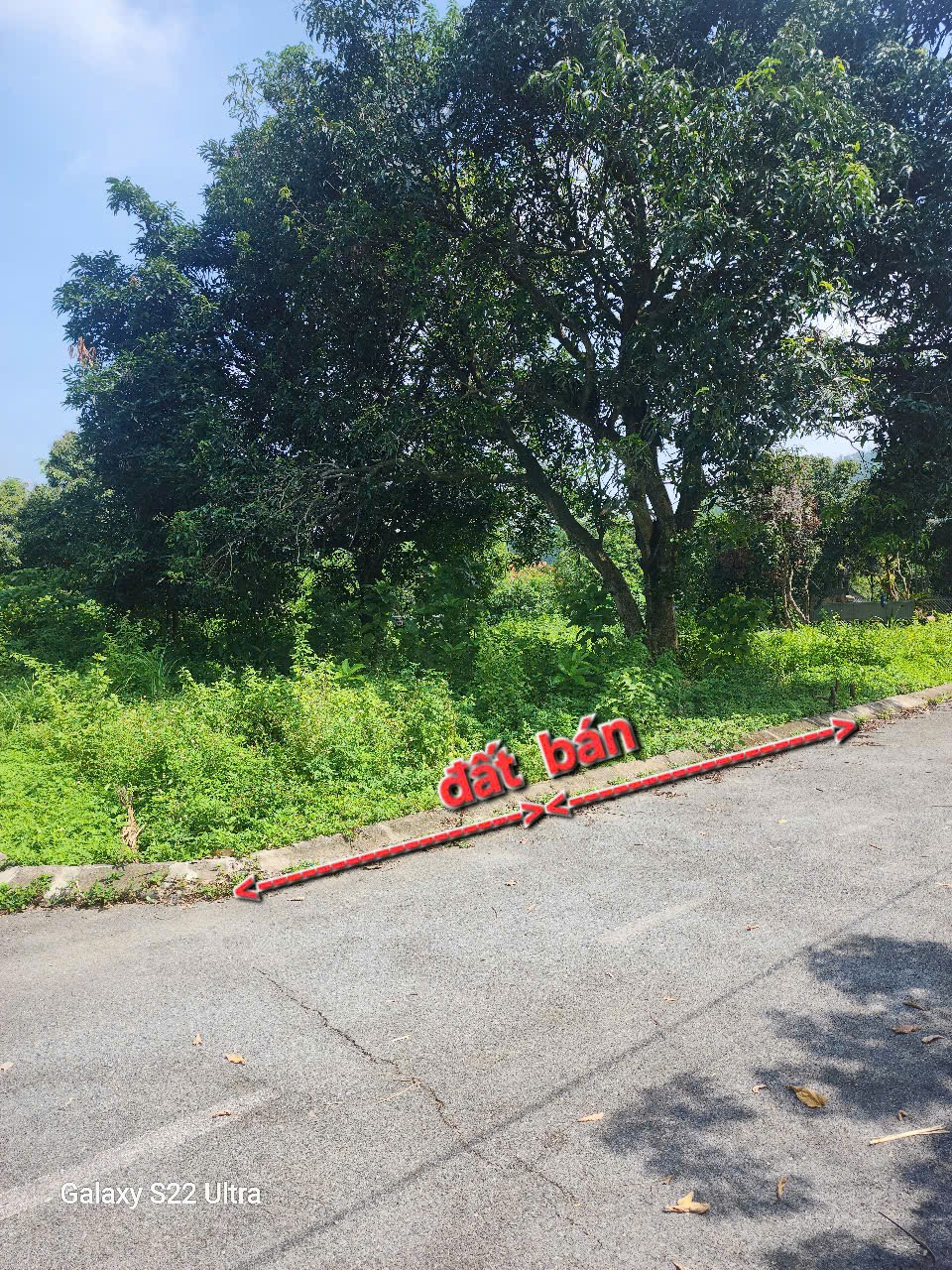 Bán đất