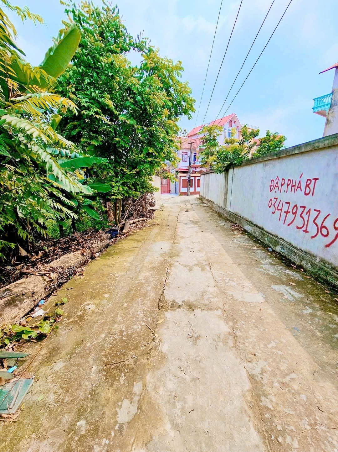 Bán đất