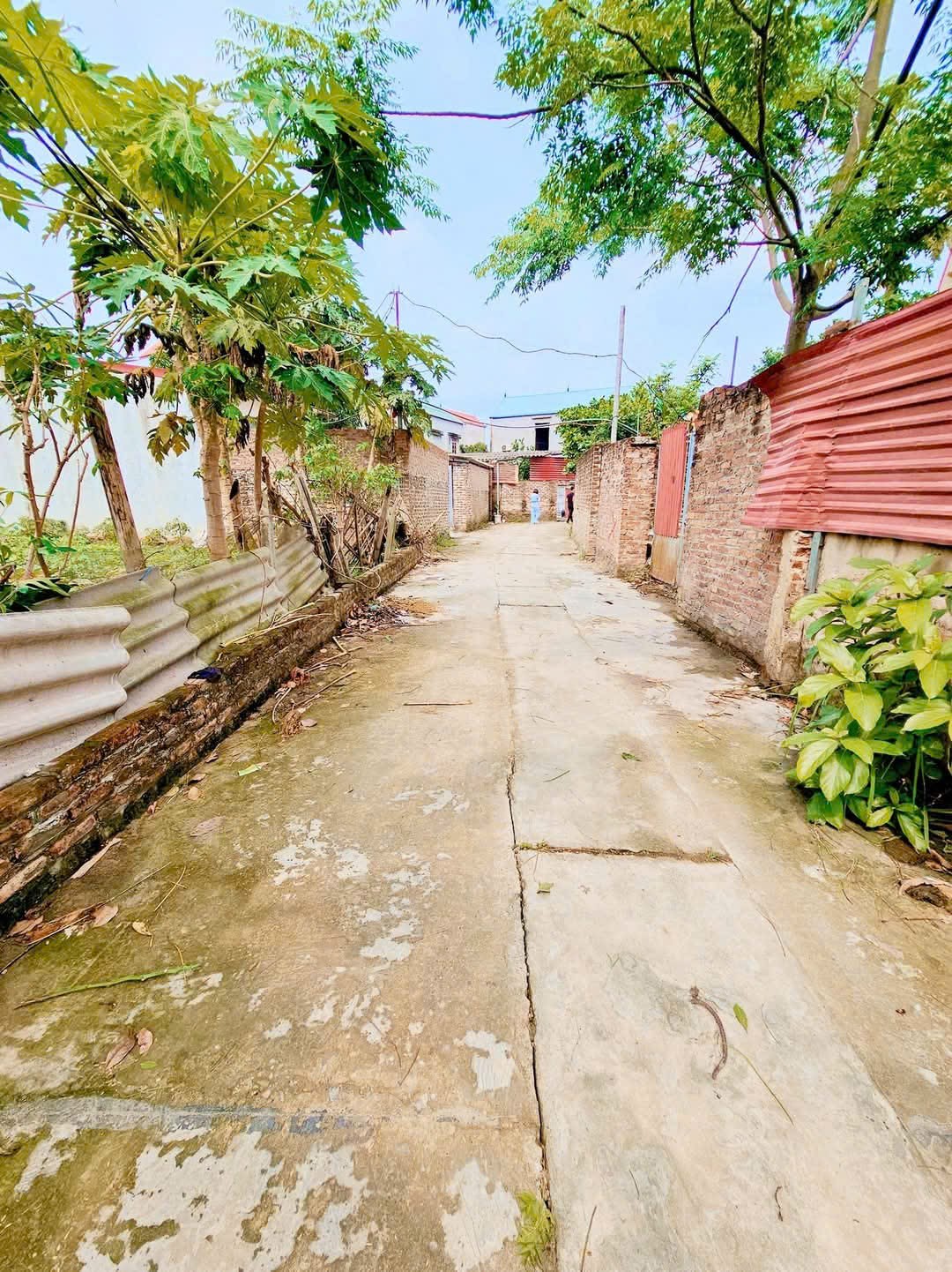 Bán đất