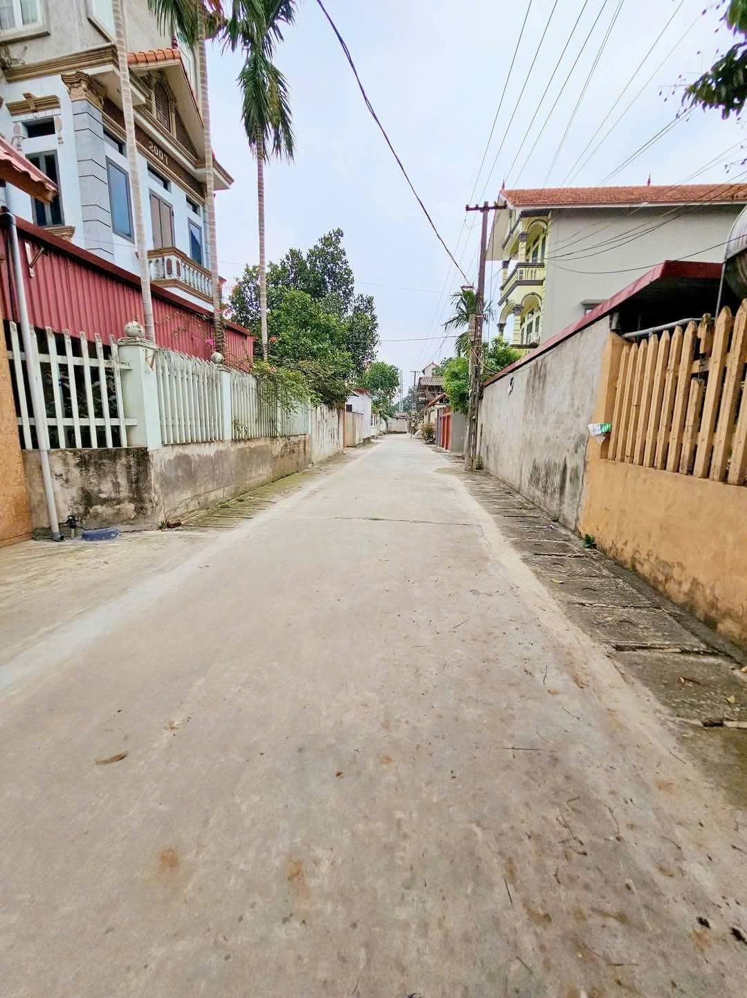 Bán đất