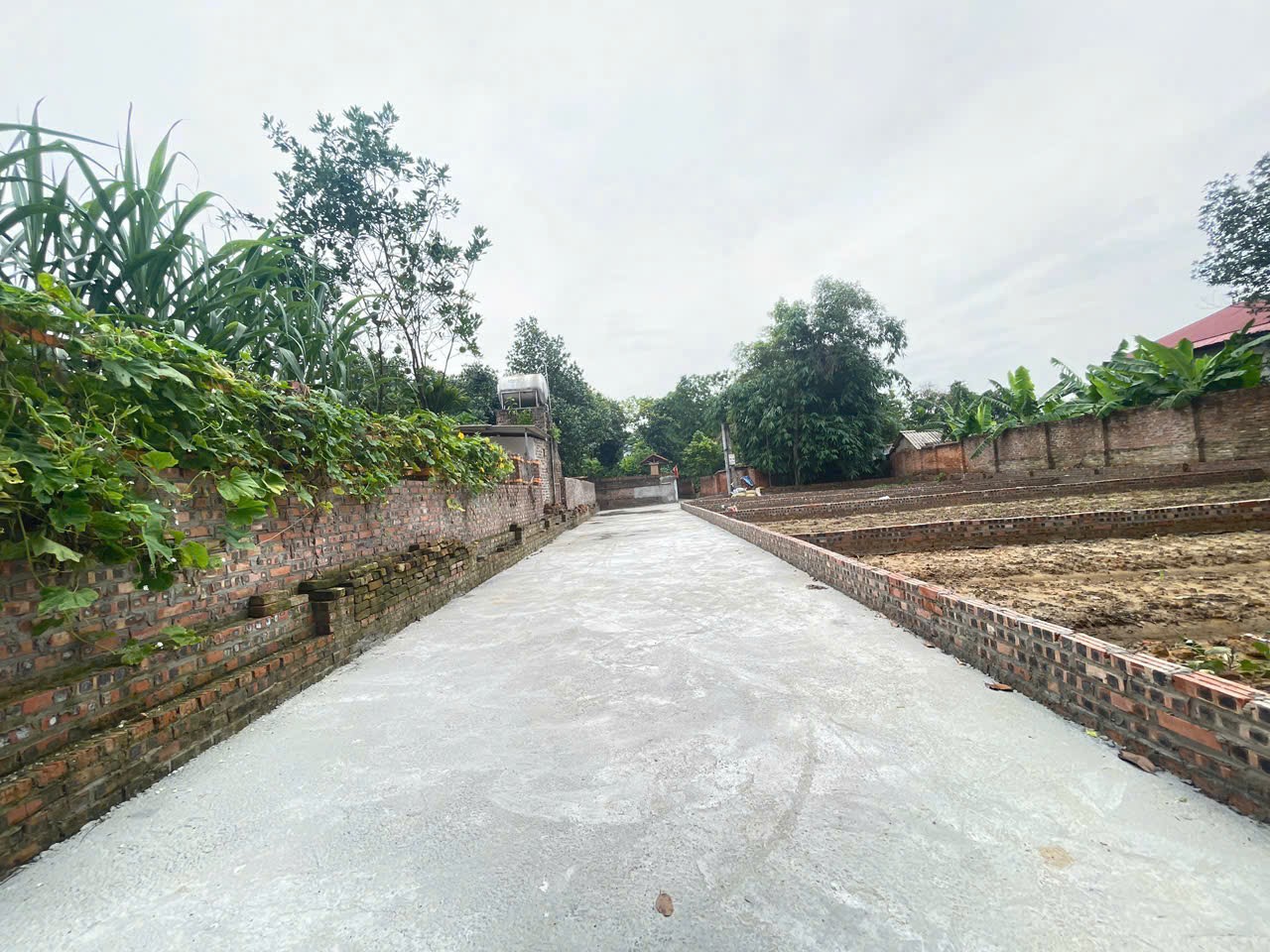 Bán đất