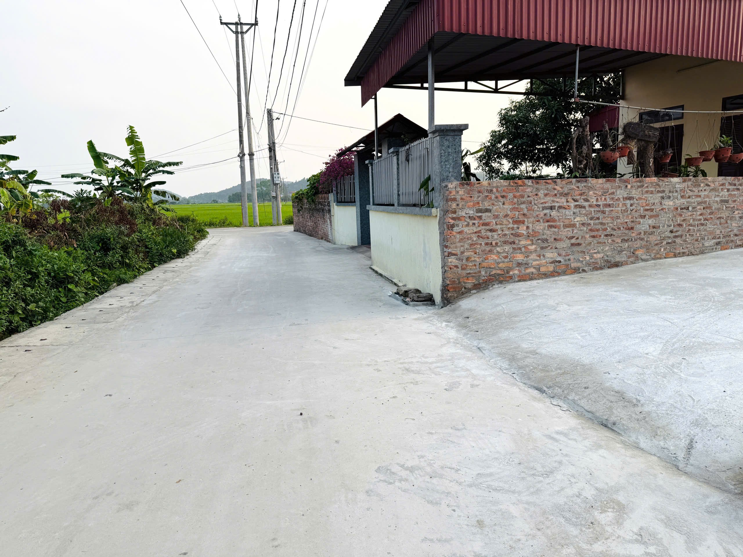 Bán đất
