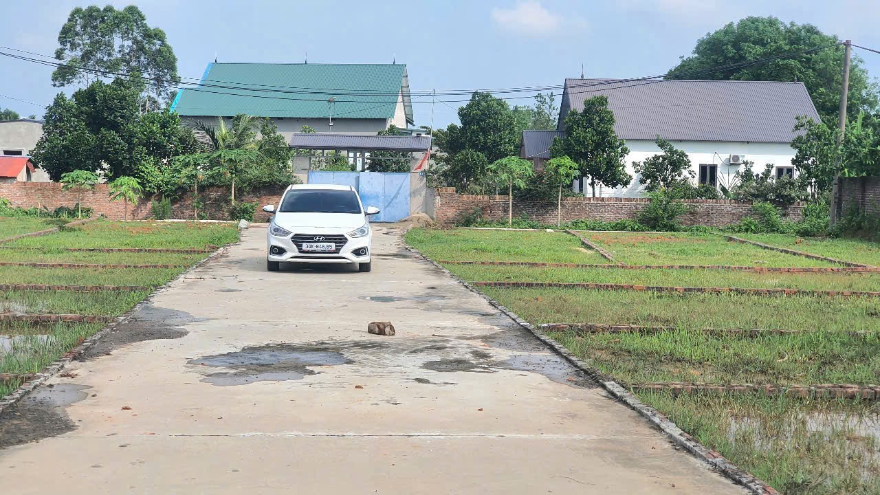 Bán đất
