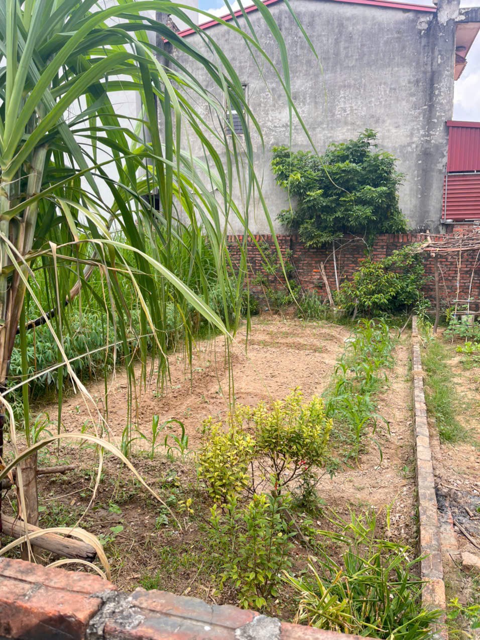 Bán đất